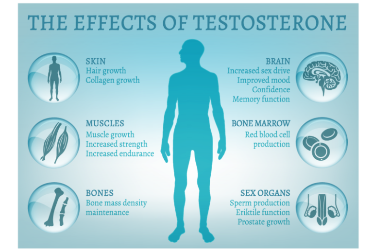 hormonaltherapy